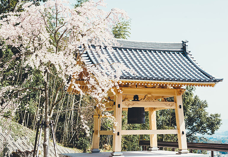 梵鐘と醍醐の桜